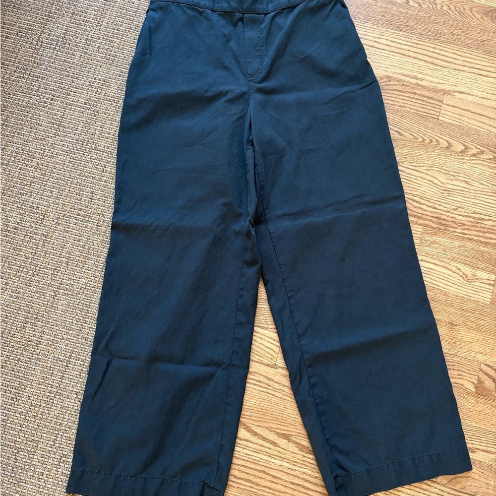Madewell Women’s Wide Leg Pull-On Pants Size Large